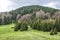 Footpath to Stoh hill, Little Fatra, Slovakia, springtime scene