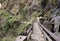 The footpath to the Tiger\'s Nest, Paro, Bhutan