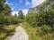 Footpath trail from Strbske Pleso, beautiful nature with pine trees and rocky montain peak, High Tatras mountain