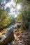 Footpath among trees and ruins of the ancient city of Termessos without tourists near Antalya, Turkey