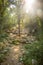 Footpath among trees and ruins of the ancient city of Termessos without tourists near Antalya, Turkey