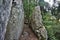 Footpath between two massive rocks on the Sentiers des Roches in the Vosges