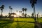 footpath viewpoint to see rice and palm farm