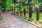 Footpath or walkway in outdoor garden flanked with green trees in countryside.