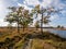 Footpath and water pool in peat bog national park Dwingelderveld, Drenthe, Netherlands