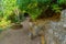 Footpath, water pool and stone bench, Amud Stream Nature Reserve