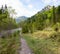 footpath at Weissach river floodplain Kreuth spring landscape, lots of blooming gentian, bavarian alps