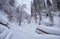 Footpath in winter taiga forest under heavy snow along Tevenek river on the bank of Teletskoe lake. Altai