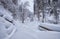 Footpath in winter taiga forest under heavy snow along Tevenek river on the bank of Teletskoe lake. Altai