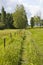 Footpaths on a meadow