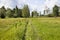 Footpaths on a meadow