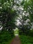 Footpaths with the trees