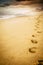 Footprint on the beach with nobody there - concept of travel and adventure lifestyle - wild mountains and scenic place in