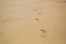 Footprint on the Beach Sand. Human Barefoot Mark After Walk Along the Beach