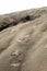 Footprint on blown sand heading toward white sky.