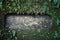 footprint of buddha an outstanding site in the tropical rainforest carved to a rock