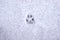 Footprint of a cat or dog paw on the snow. Care for pets in the winter, in cold weather