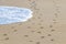 Footprint footprints on the beach sand by the water Mexico