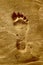 Footprint in golden sand 2