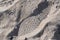 Footprint in gray clear sand closeup