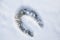 Footprint of horseshoe in snow
