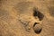 The footprint of a human foot in the wet sand