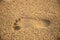 The footprint of a human foot in the wet sand