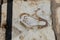 Footprint on Marble for advertisement of the Brothel in Ephesus, Izmir, Turkey