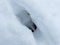 Footprint of a roe deer in very deep snow