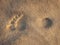 Footprint in sand - barefoot on beach sand -