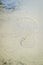 A footprint in the sand on the beach