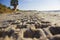 Footprint in sand car tire quadro cycle at sunrise beach, girl