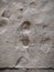 Footprint shoes pattern in concrete texture