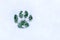 Footprint in the snow in the form of a cat`s paw with green gras