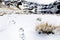 Footprint trace trail steps frozen lake, Condoriri snow mountain