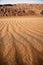 The footprint of wind in the lut desert