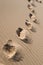 Footprints across sand dunes