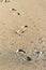 Footprints across wet beach sand