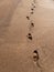 Footprints of adult person on wet sand copy space. Solitude and loneliness concept