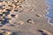 Footprints along the coastline on a sunny evening