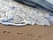 Footprints on the beach