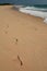 Footprints on the beach. Praia da Barra. Inhambane province. Mozambique