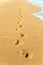 Footprints in beach road in dune
