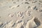 Footprints in beach sand along the coast on sunny day. Relaxing and peaceful landscape to enjoy and unwind for summer