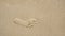 Footprints on the beach sand, Surface of human footmarks on smooth sand at the seaside, In summer, Texture background.