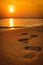 Footprints on the beach at sunset.