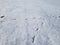 Footprints of bird tracks in the snow