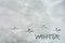 Footprints of birds in the snow on a horizontal line. Winter inscription.