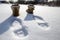 Footprints and boots on pure white snow, on a blurred background