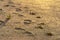 Footprints of boots on the sand